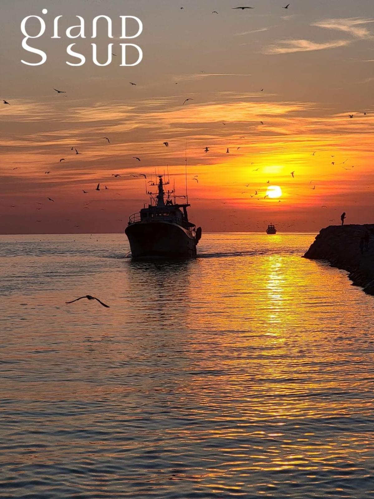 Le Soleil Couchant Studio Vue Mer Le Grau-du-Roi Kültér fotó